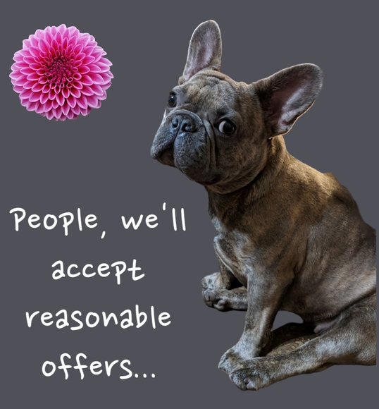 NOT FOR SALE,  Michelle can't live without me. - Picture 2 of 4